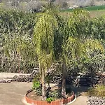 Le Palme San Costantino 아파트호텔 Potenzoni