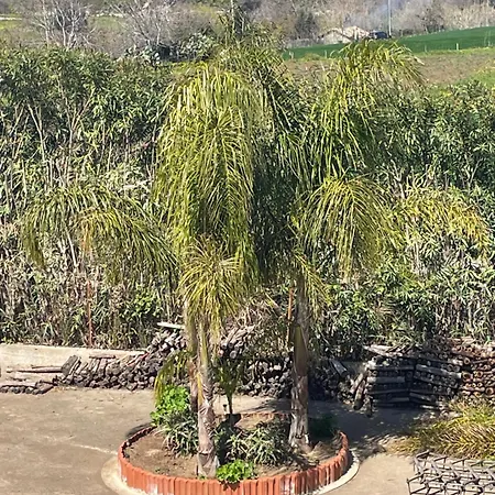 Le Palme San Costantino Apartmanhotel Potenzoni