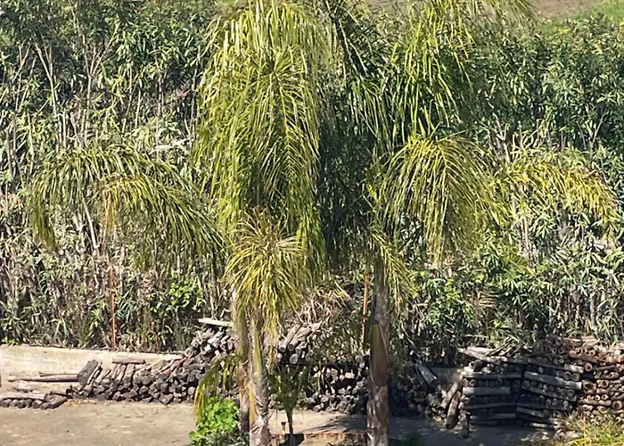 Le Palme San Costantino 아파트호텔 Potenzoni